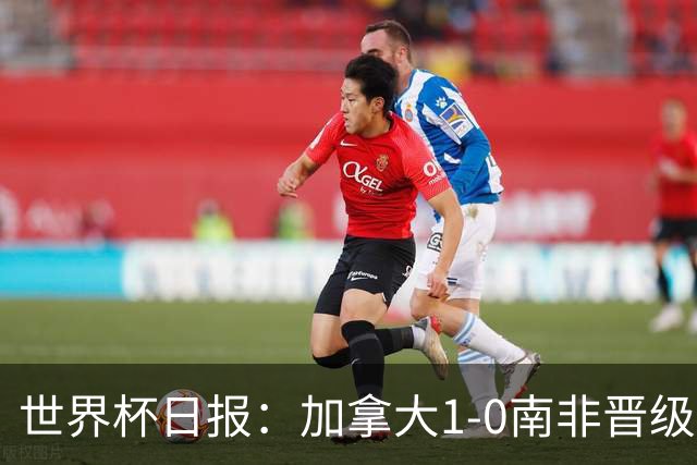 世界杯日报：加拿大1-0南非晋级创历史 韩国主帅洪明甫下课