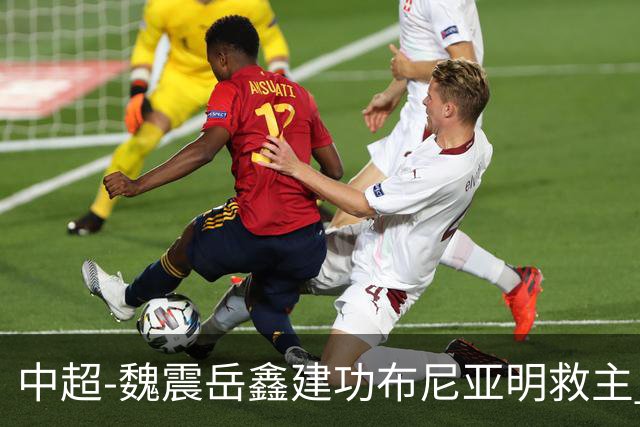 中超-魏震岳鑫建功布尼亚明救主 玉昆4分钟连扳两球2-2海港