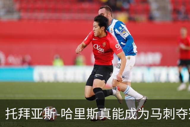 托拜亚斯-哈里斯真能成为马刺夺冠的最后一块拼图吗？