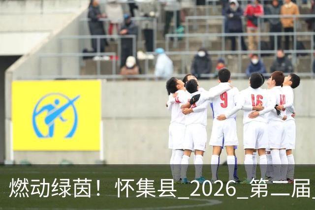 燃动绿茵！怀集县 2026 第二届 “环山 & 中天杯” 元老足球赛完整赛程出炉，全城球迷速看！