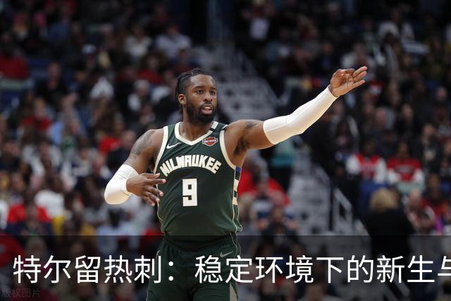 特尔留热刺：稳定环境下的新生与成长