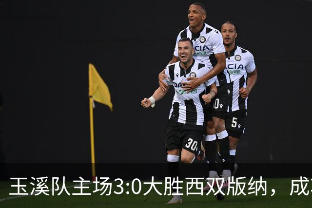 玉溪队主场3:0大胜西双版纳，成功晋级滇超联赛八强！