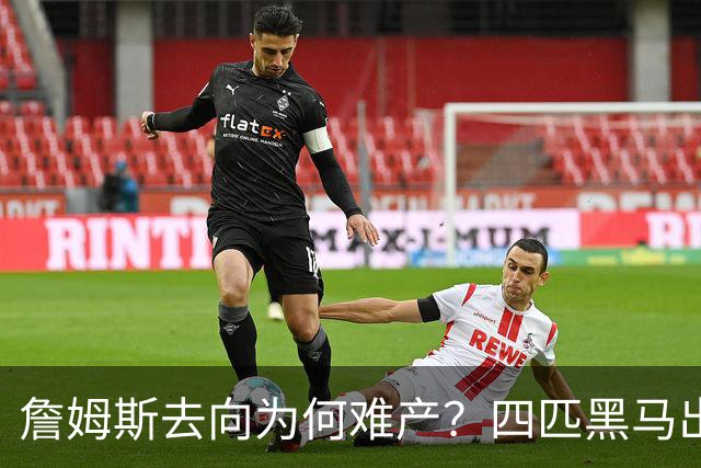 詹姆斯去向为何难产？四匹黑马出现加剧混乱