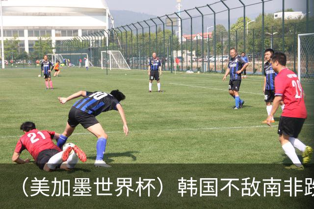 （美加墨世界杯）韩国不敌南非跌至小组第三 出线前景待定