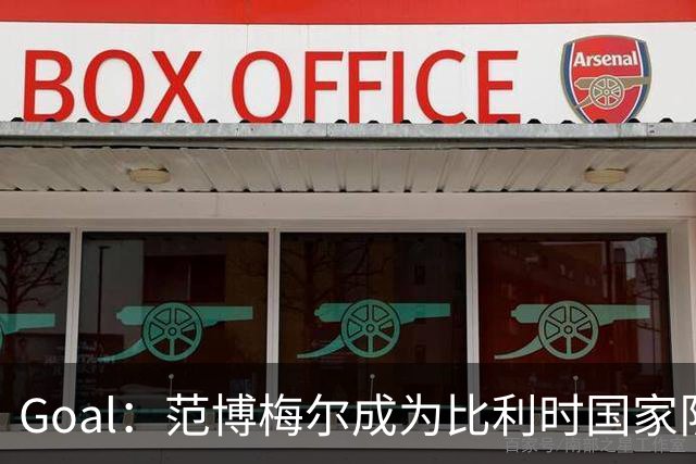 Goal：范博梅尔成为比利时国家队新帅头号人选